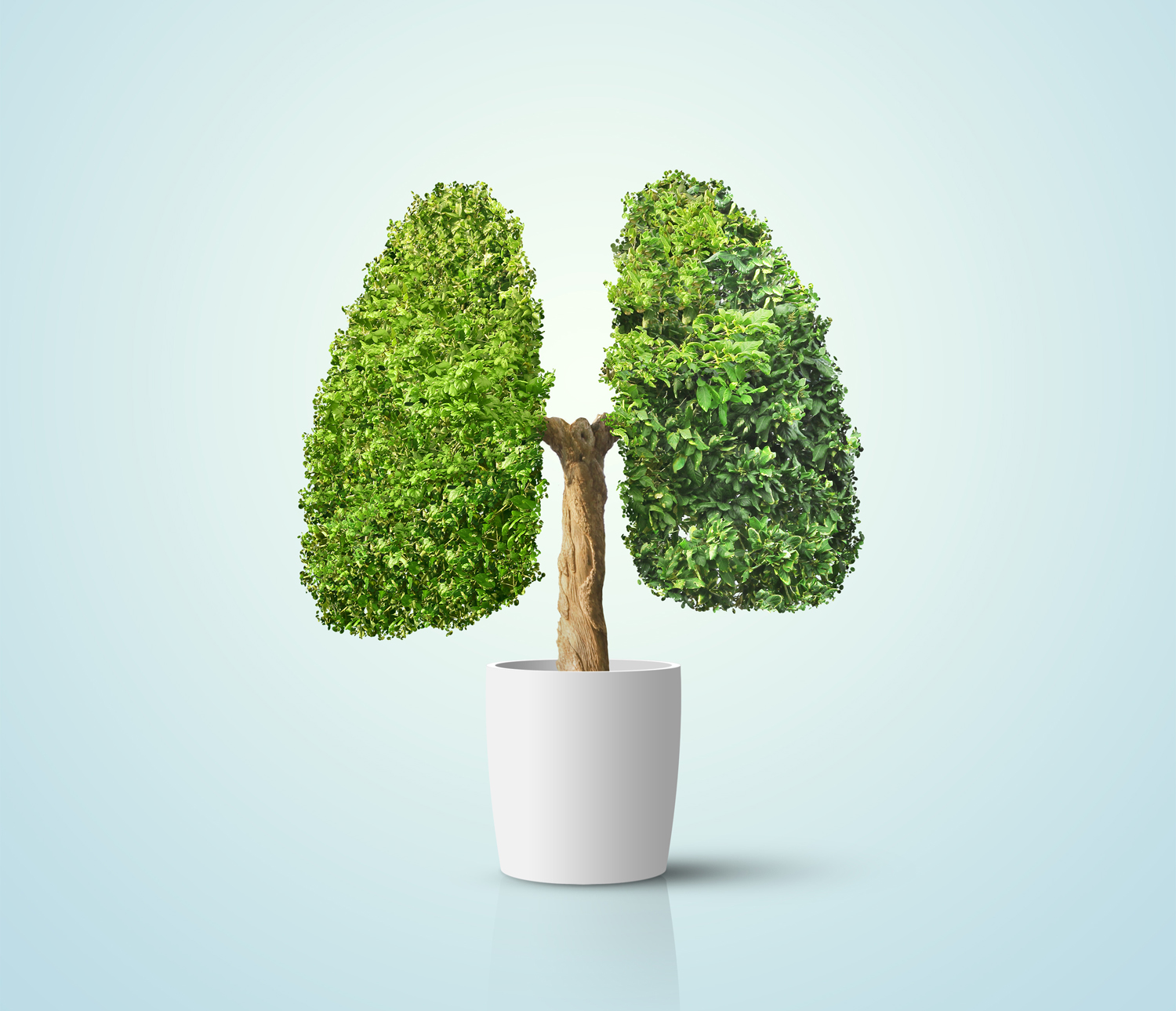 Frei und gut atmen zu können, ist lebenswichtig